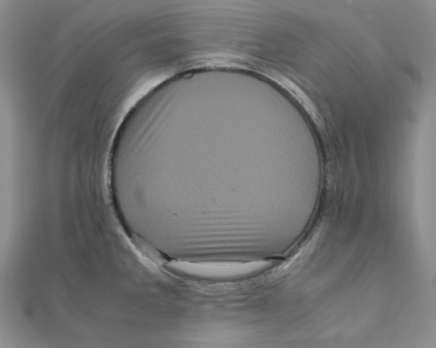 X0000111121285200907281021