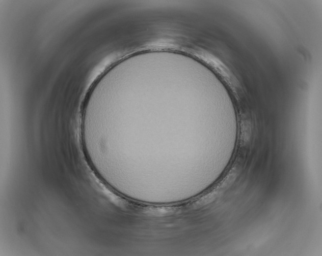 X0000111121286200907281021