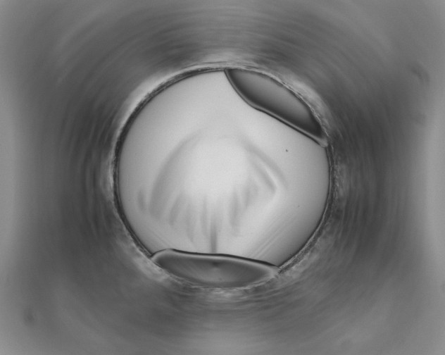X0000111121288200907281021