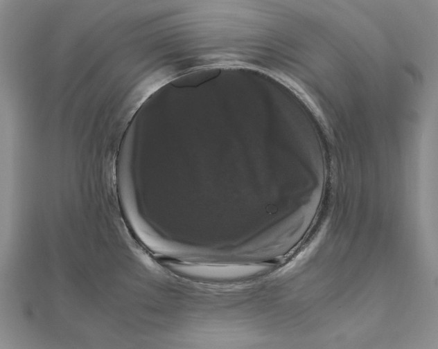 X0000111121289200907281021