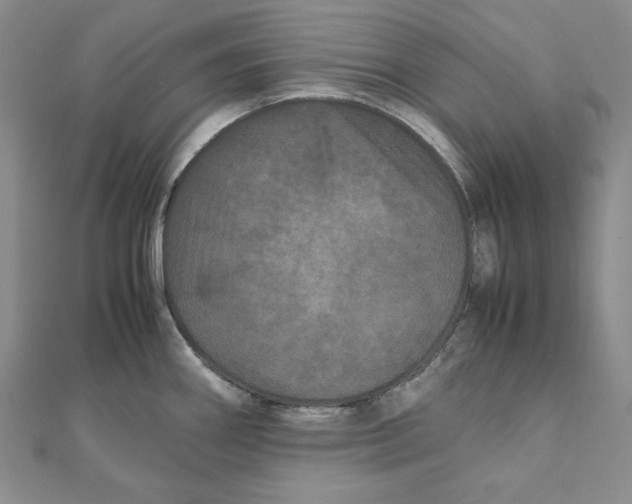 X0000111121290200907281021