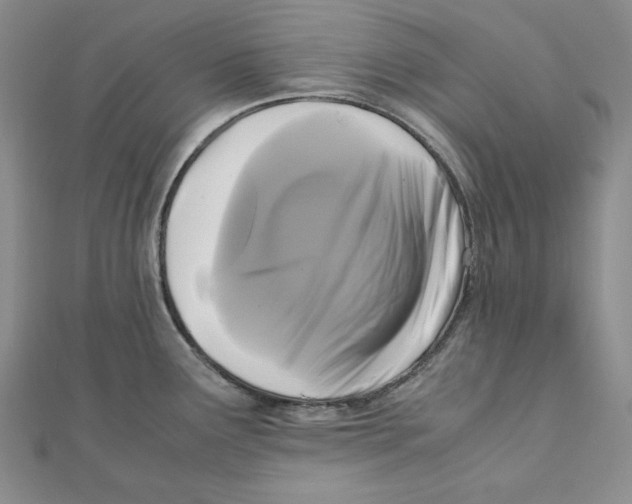 X0000111121291200907281021