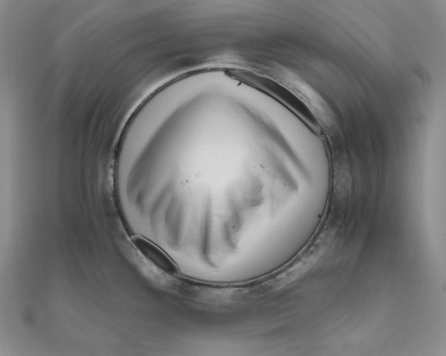 X0000111121292200907281021