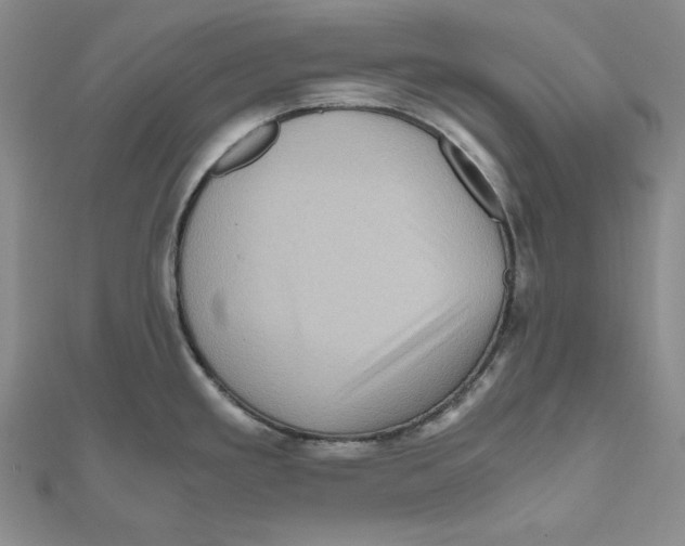 X0000111121293200907281021
