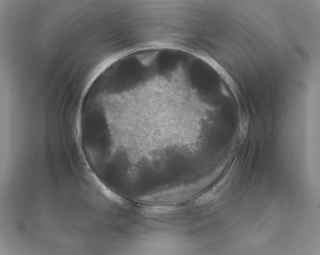 X0000111121294200907281021