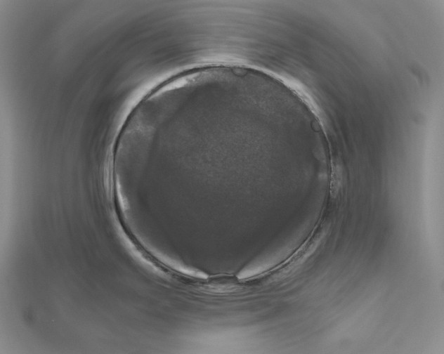 X0000111121295200907281021