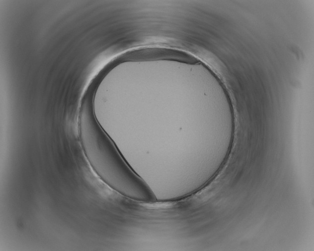 X0000111121296200907281021