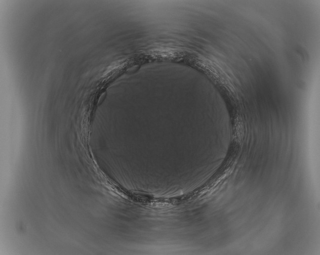 X0000111121297200907281020