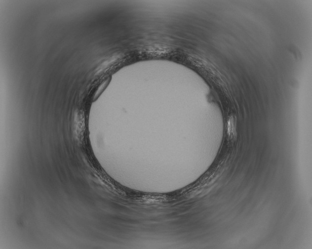 X0000111121299200907281020