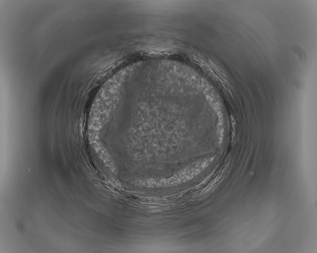 X0000111121300200907281020