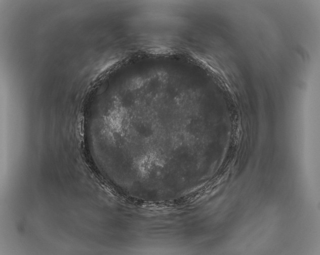 X0000111121301200907281020