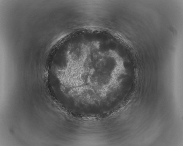 X0000111121302200907281020