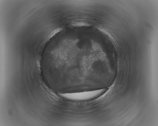 X0000111121305200907281020