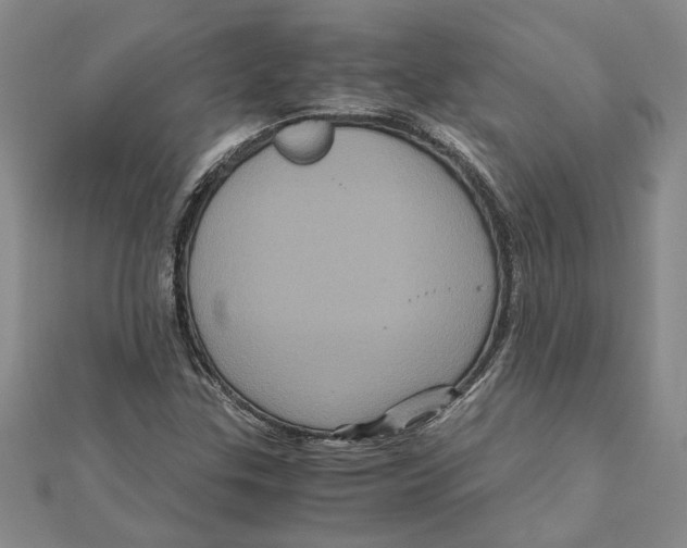 X0000111121307200907281021