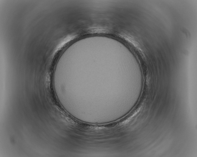 X0000111121309200907281021