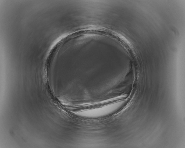 X0000111121310200907281021