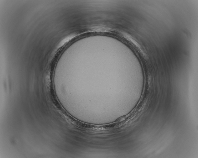 X0000111121315200907281021