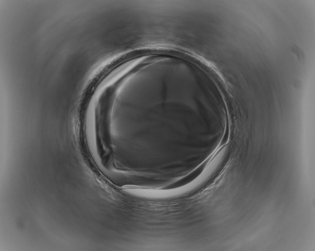X0000111121319200907281021