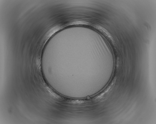 X0000111121321200907281021