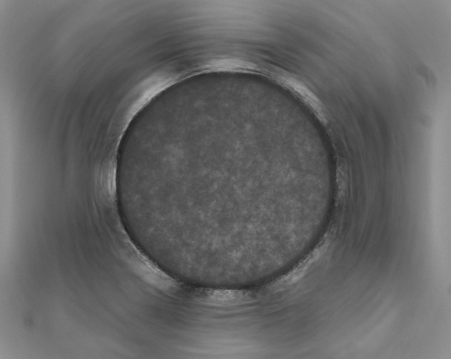 X0000111121322200907281021