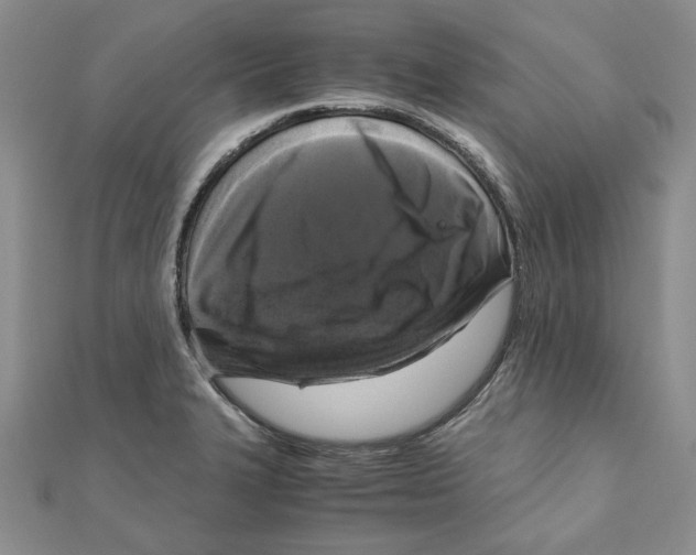 X0000111121327200907281021
