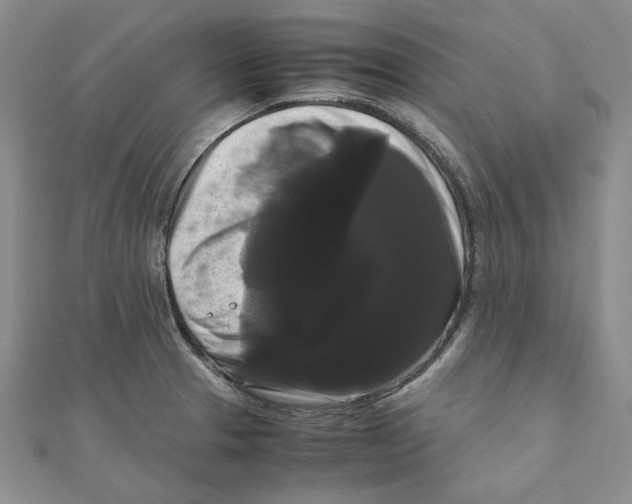 X0000111121329200907281021