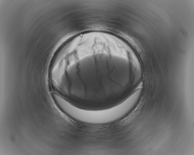 X0000111121331200907281021