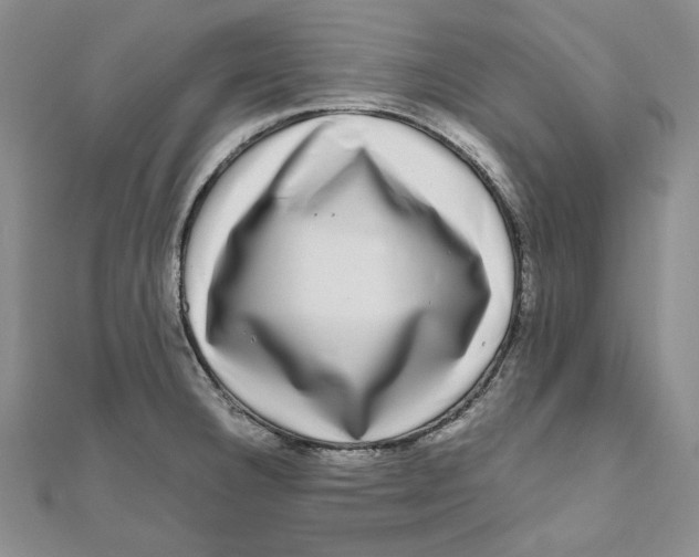 X0000111121332200907281021