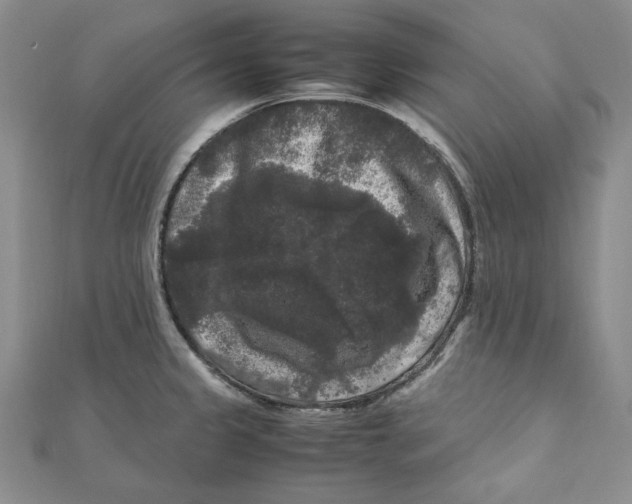 X0000111121333200907281021