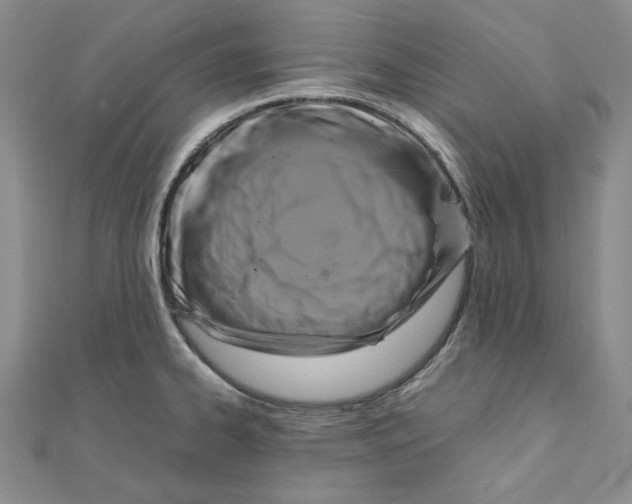 X0000111121334200907281021