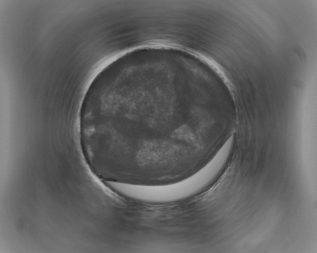 X0000111121335200907281021