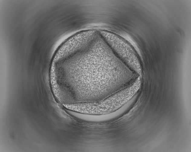 X0000111121336200907281021