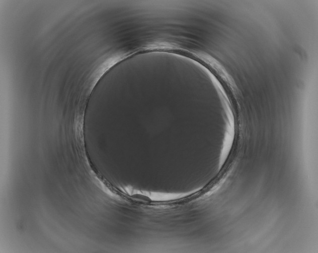 X0000111121337200907281021