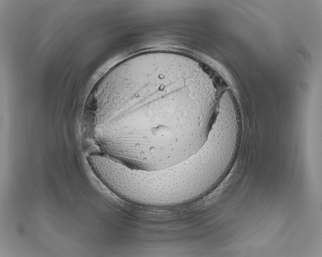 X0000111121338200907281021