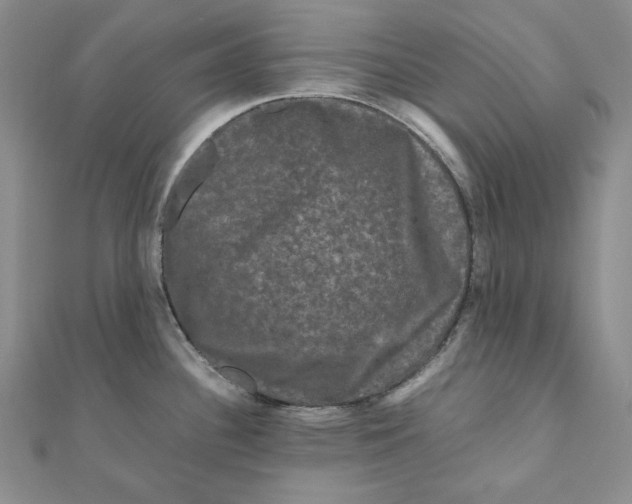 X0000111121340200907281021