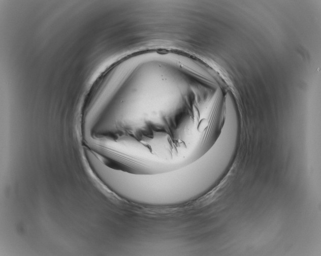 X0000111121342200907281021