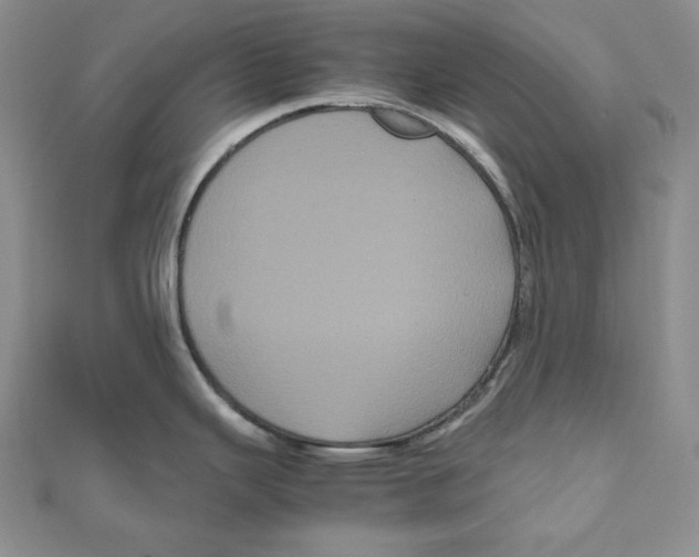 X0000111121343200907281021