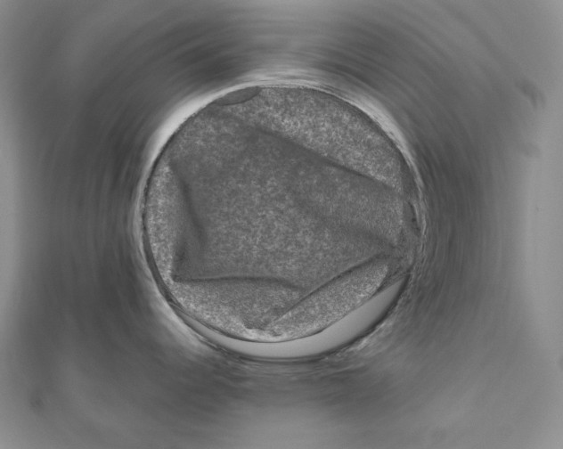 X0000111121344200907281021