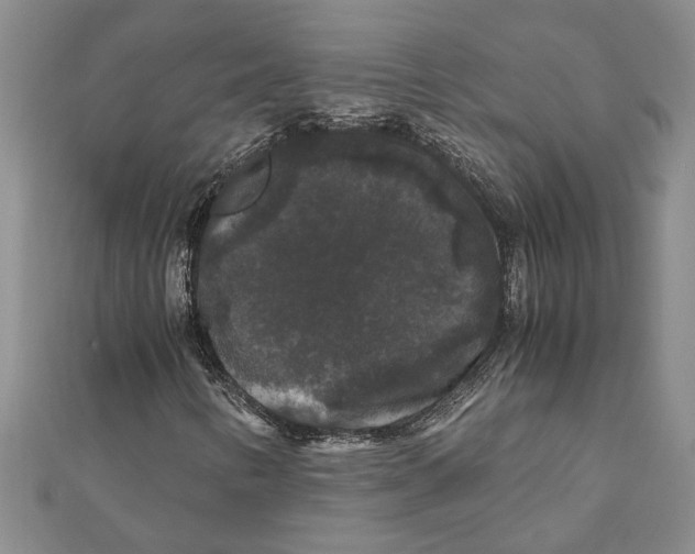 X0000111121346200907281020