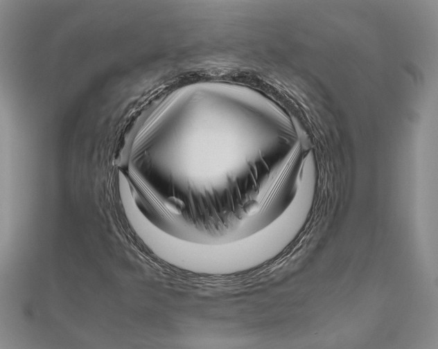 X0000111121349200907281020