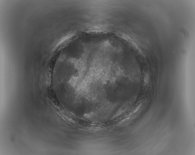 X0000111121350200907281020