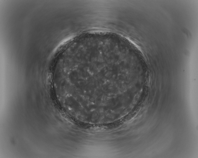 X0000111121351200907281020
