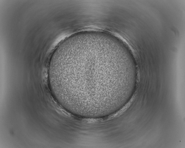 X0000111121355200907281020