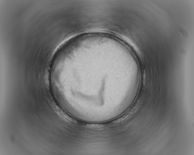 X0000111121356200907281020