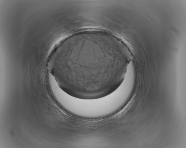 X0000111121357200907281020