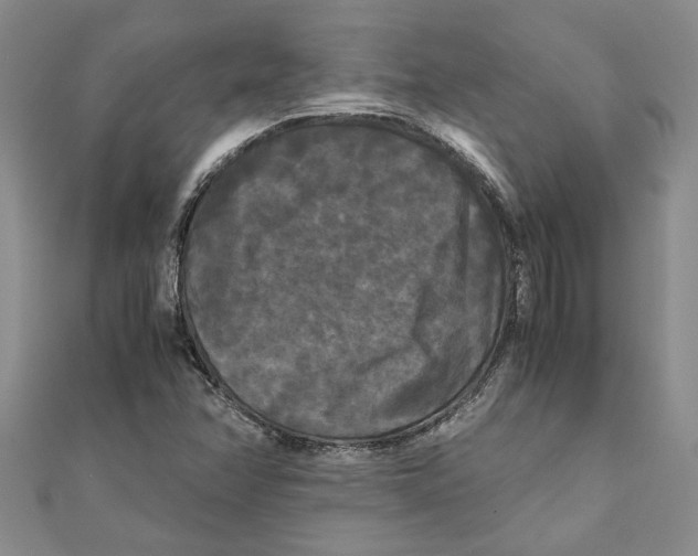 X0000111121358200907281020