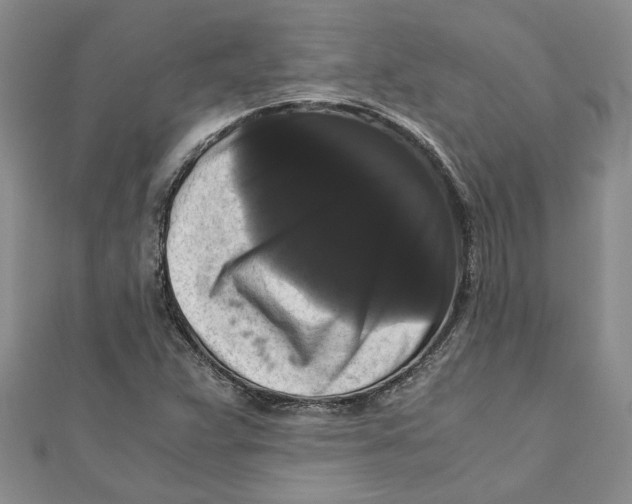 X0000111121359200907281020