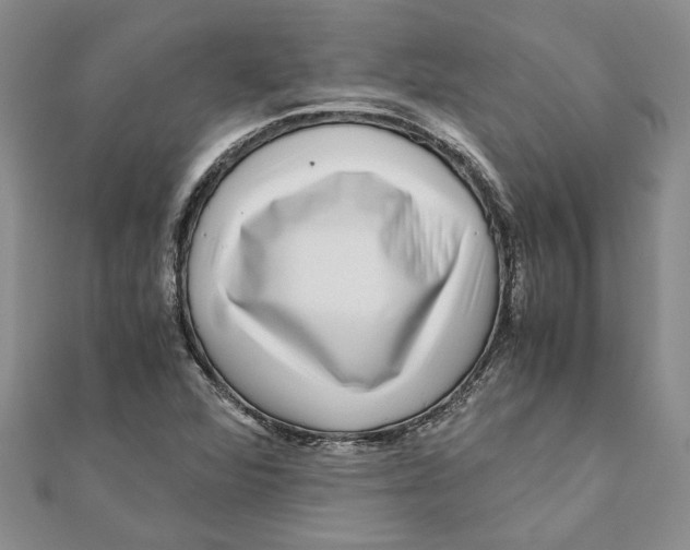 X0000111121360200907281020