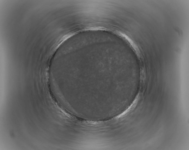 X0000111121361200907281020