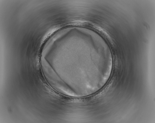 X0000111121362200907281020